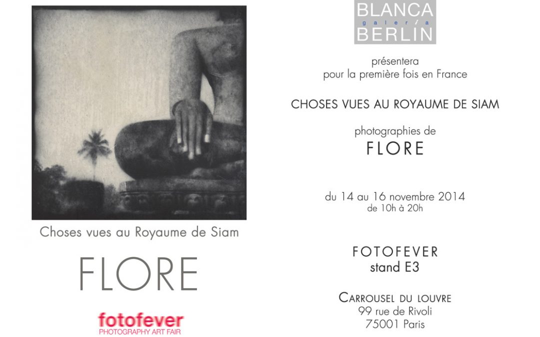 Fotofever 2014 à Paris